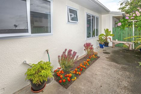 Photo of property in 4/4 Campbell Street, Whanganui, 4500