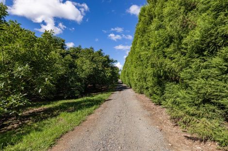Photo of property in 485 Mangakahia Road, Maungatapere, Whangarei, 0179