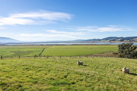 Photo of property in 237 Baker Road, Berwick Forest, Outram, 9073