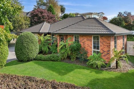 Photo of property in 24 Park Drive, Richmond, 7020