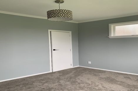 Photo of property in 32 Mabel Street, Levin, 5510