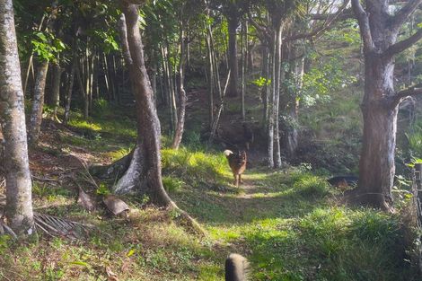 Photo of property in 847 Pekerau Road, Lake Ohia, Kaitaia, 0483