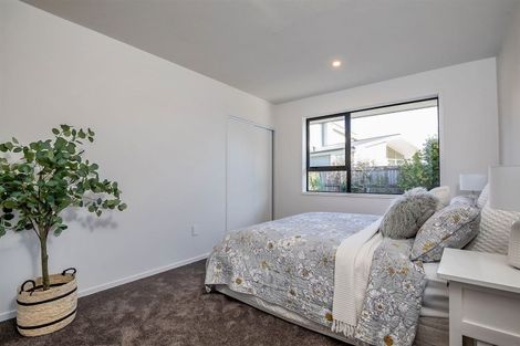 Photo of property in 214 Riverlaw Terrace, Saint Martins, Christchurch, 8022