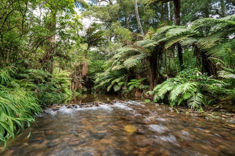 Photo of property in 183 Henry Road, Tahawai, 3170