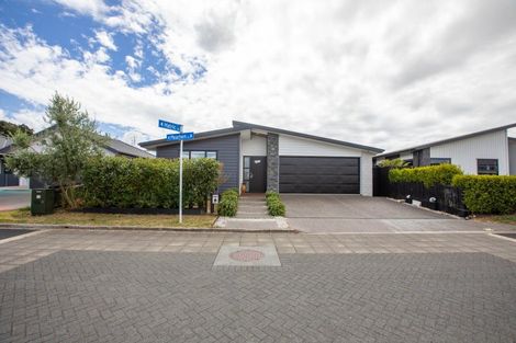 Photo of property in 48 Meachem Road, Chartwell, Hamilton, 3210