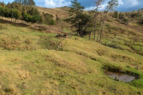 Photo of property in 184 Koutu Loop Road, Whirinaki, Kaikohe, 0473