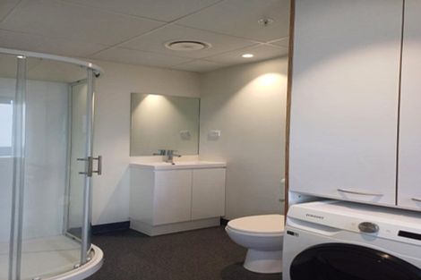 Photo of property in Te Kainga Te Aka, 203 Willis Street, Te Aro, Wellington, 6011