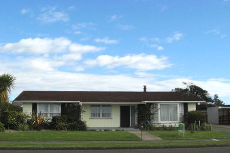 Photo of property in 54 Kennedy Drive, Levin, 5510