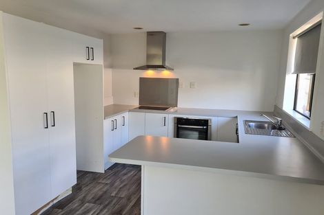 Photo of property in 53 Diamond Avenue, Spreydon, Christchurch, 8024