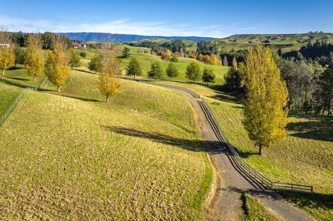 Photo of property in 1401 Kereru Road, Kereru, Hastings, 4171