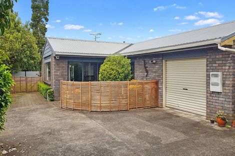 Photo of property in 28b Nixon Street, Hamilton East, Hamilton, 3216