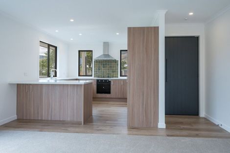 Photo of property in 15a Lowry Street, Richmond, 7020