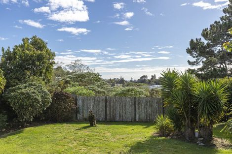 Photo of property in 19 Caledonia Place, Highlands Park, New Plymouth, 4312