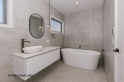 Photo of property in 161a Pharazyn Street, Maewa, Feilding, 4702