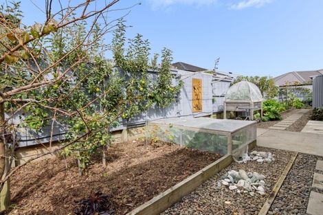 Photo of property in 11 Hass Drive, Ohauiti, Tauranga, 3112