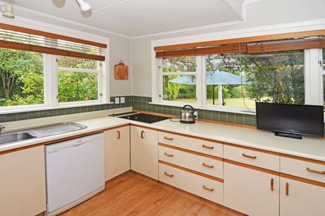 Photo of property in 46 Cornwall Street, Masterton, 5810