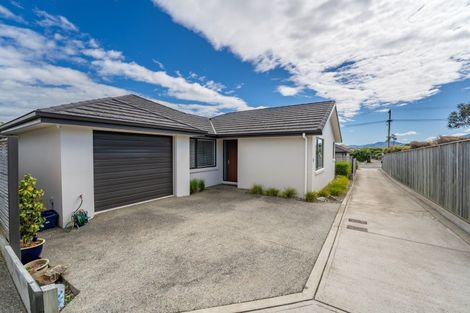 Photo of property in 37a William Street, Richmond, 7020