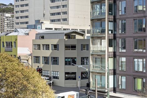 Photo of property in Vsp South, 301/168u Victoria Street, Te Aro, Wellington, 6011
