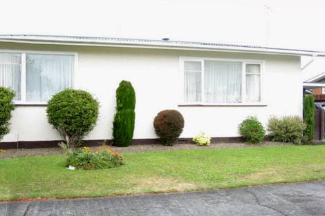 Photo of property in 19 Blenheim Place, Feilding, 4702