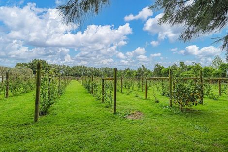 Photo of property in 10 Tui Glen Drive, Levin, 5571