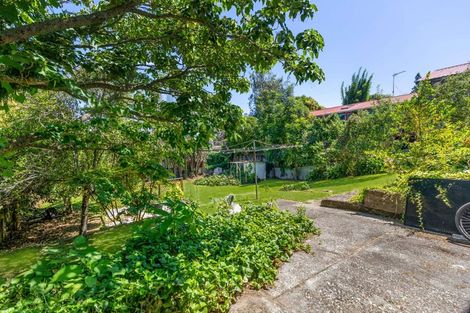 Photo of property in 21 Carey Street, Maeroa, Hamilton, 3200