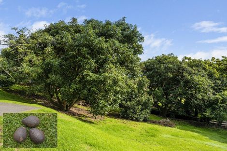 Photo of property in 10 Zapote Place, Ohauiti, Tauranga, 3112