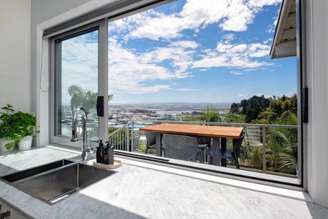 Photo of property in 52 Simla Terrace, Hospital Hill, Napier, 4110