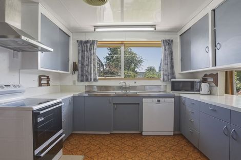 Photo of property in 14 Queen Street, Milton, 9220