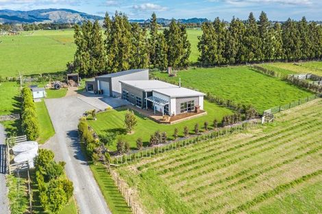 Photo of property in 112 Gladstone Road, Levin, 5571