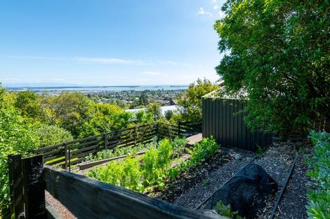 Photo of property in 39 Kihilla Road, Richmond, 7020