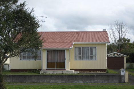 Photo of property in 119 Hamlet Street, Stratford, 4332