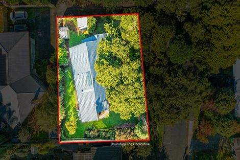 Photo of property in 5 Totara Grove, Hillcrest, Auckland, 0627