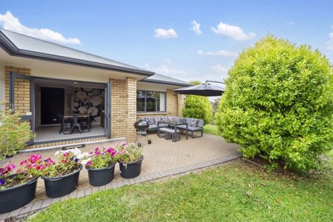 Photo of property in 16 Holford Place, Huntington, Hamilton, 3210