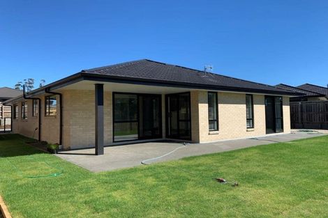 Photo of property in 24 Les Wakefield Road, Mapua, 7005