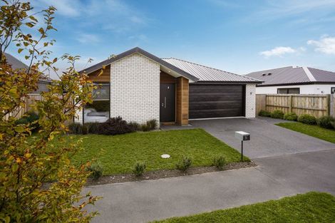 Photo of property in 31 Borthwick Street, Belfast, Christchurch, 8051