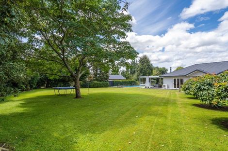 Photo of property in 44 Udy Street, Greytown, 5712