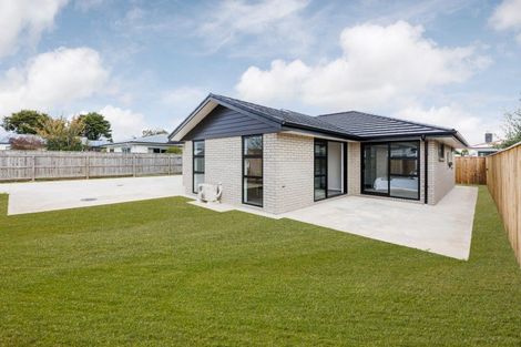 Photo of property in 13a Saxton Street, Levin, 5510