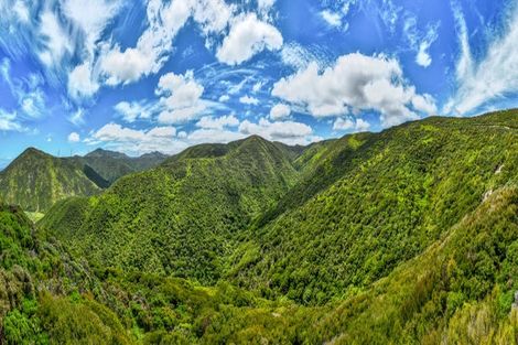 Photo of property in 204 Noel Ashton Way, Makara, Wellington, 6972