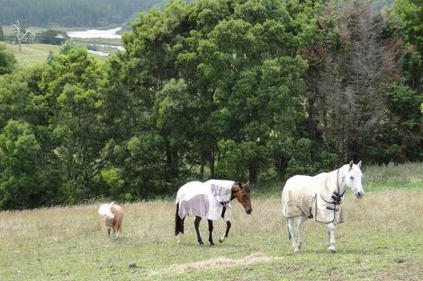 Photo of property in 109 Okura River Road, Okura, Auckland, 0792