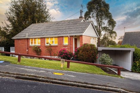 Photo of property in 17 Lowe Street, Liberton, Dunedin, 9010