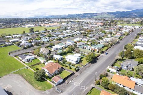 Photo of property in 30 Victoria Street, Levin, 5510