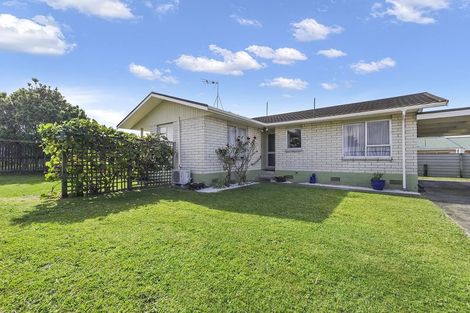 Photo of property in 30b Barnett Street, Putaruru, 3411