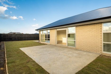 Photo of property in 8 Bond Street, Springlands, Blenheim, 7201