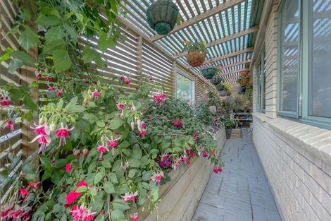 Photo of property in 24 Banks Road, Matamata, 3473