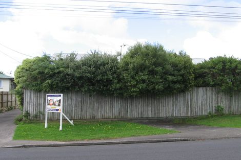 Photo of property in 163 Rathgar Road, Henderson, Auckland, 0610