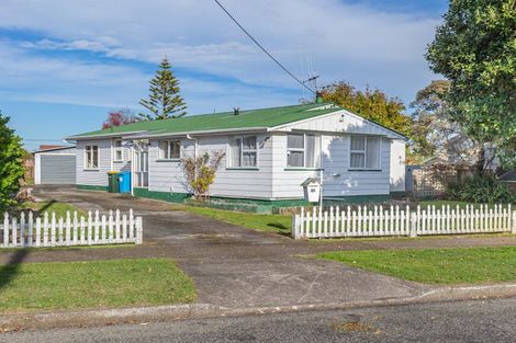 Photo of property in 47 Duke Street, Levin, 5510