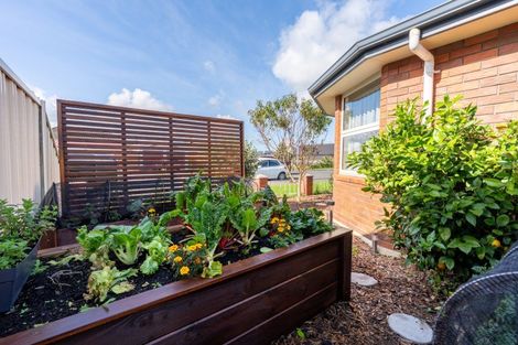 Photo of property in 6b Reid Avenue, Mosgiel, 9024