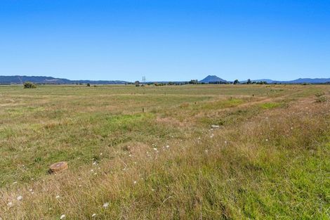 Photo of property in 154 Hydro Road, Edgecumbe, 3192