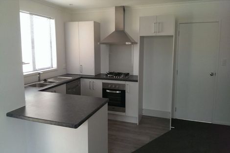 Photo of property in 193u5 Massey Street, Frankton, Hamilton, 3204