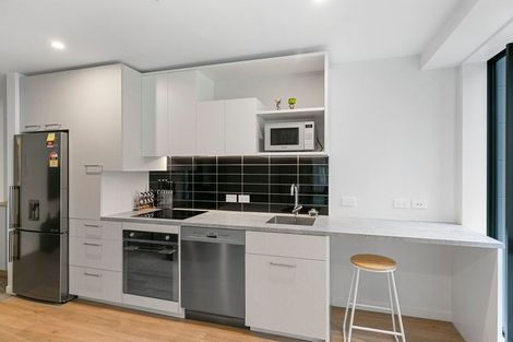 Photo of property in Vsp South, 205/168u Victoria Street, Te Aro, Wellington, 6011